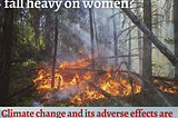 How Does Climate Change Fall Heavy on Women- Part 3