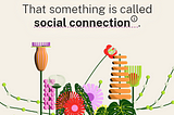 An illustration of some flowers and leaves with the text “That something is called social connection”