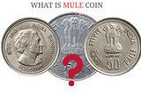 What Is Mule Coins