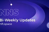 NNS Bi-Weekly Updates #2: Exciting New Partnerships, Dev Update, and More!
