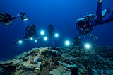 A Pristine Coral Reef Discovered near Tahiti