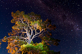 Milky Way, New South Wales, Australia
