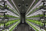 Vertical Farming — the next big conquest for IoT: