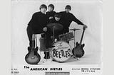 The American Beetles