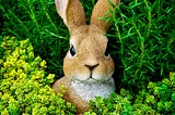 .NET Core and RabbitMQ Part 2 — Communication via AMQP
