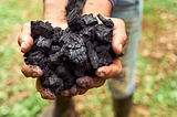 Black Gold: Swapping Fire for Fertility with Biochar