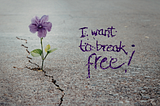A delicate purple flower growing through concrete with the words “I want to break free!”