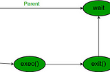 How does a shell terminal process a command?