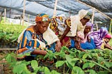 Eliminate legal discrimination against women to advance food security and nutrition