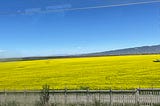 Zhangye: a Web of Choices