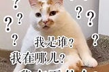 股市沒有新手村[雜談20210410]