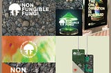 Non Fungible Fungi 2022 recap