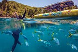Sailing the Whitsundays: A Journey Beyond Expectations