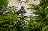 Biophilic Beauty: Bringing Nature Indoors Through Home Décor & Wallpaper