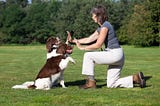 ENTRENAMIENTO DE PERROS