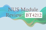 NUS Module Review: BT4212 Search Engine Optimization and Analytics