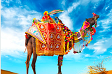 Camel Rajasthan Pictures, Images and Stock Photos