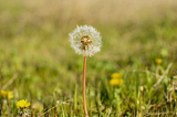 Lessons learned in SaaS startups: Chapter 7. Churn kills.