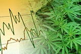 Pot Stocks, The Health of America, and Responsible Investing