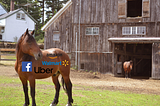 From Centralized to Decentralized? Sorry, That Horse Is Out of the Barn