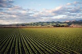 Agtech look ahead for 2023