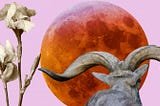 Full Moon in Krittika: Eclipse Season | Vedic Astrology