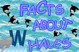 FACTS ABOUT WHALES! ~by Angela V. Woodhull, Ph.D.