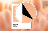 Цвет 2024 года по версии Pantone — Peach Fuzz