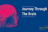 Journey Through The Brain