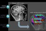Use cases for data versioning: debugging, collaboration, and compliance in neuroimaging [Webinar]