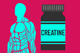 The Science Behind Creatine: How Much More Muscle & Strength?