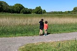 Two children looking out over a green field with some trees in the background.