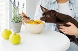 “Pet Food Allergies and Sensitivities”