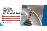 Whether you clean your car regularly or hire professional Motor vehicle pest control in Nairobi, Kenya, keeping pests away from your vehicle is crucial. Pay attention to food storage, seal any entry points, and consider using pest control products or services when necessary.