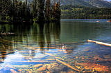 Beautiful view at Taggart Lake, Grand Teton NP, Wyoming, USA