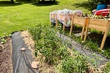 As Summer Begins, My Garden is Thriving (Podcast Included)