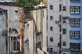 os grandes arbustos no pequeno terreno baldio ao lado da linha do trem