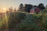 The End of Summer