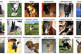 Dog Breed Classification: hands-on approach