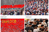 Crowd Counting Dataset Overview