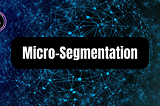 Micro-Segmentation 101