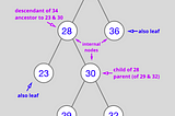 Binary Search Trees: A Quick and Dirty Recap