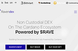 RAVENDEX is a DEX and NFTs market built on the Cardano Blockchain.