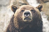 Recovering the bear market