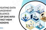 Navigating Data Management Excellence: A Deep Dive into Distinct MDM Paradigms