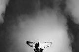 Come Holy Spirit
