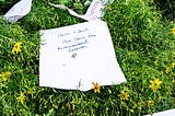Murder of the Innocent in D.C.