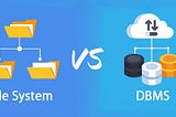 File System vs Database Management System (DBMS).