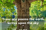 Trees are Poems the Earth writes upon the Sky -Khalil Gibran