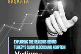 Exploring the Reasons Behind Turkey's Slow Blockchain Adoption Part1